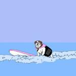 Reglas de oro para unas vacaciones con perro – Parte 1 vacaciones con perro