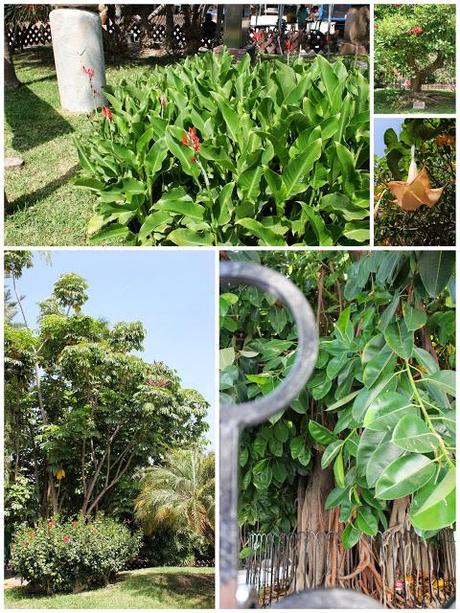 Ya se lo que quiero, Blog Gastronómico de #Almuñecar 2013.