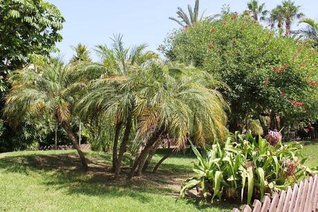 Ya se lo que quiero, Blog Gastronómico de #Almuñecar 2013.