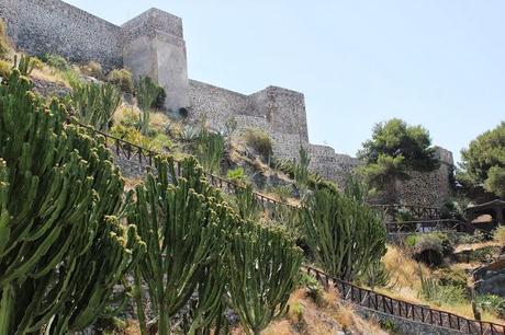 Ya se lo que quiero, Blog Gastronómico de #Almuñecar 2013.