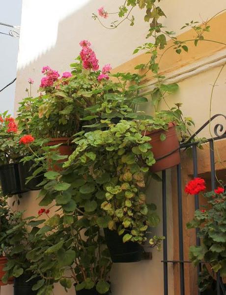 Ya se lo que quiero, Blog Gastronómico de #Almuñecar 2013.