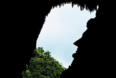 10 lugares de Asia que visitaría una y mil veces más Vista dentro de la Cueva del Ciervo, llena de murciélagos.