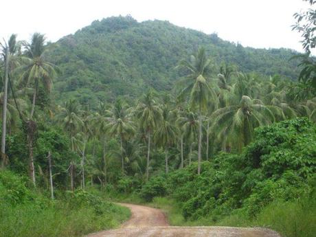 10 lugares de Asia que visitaría una y mil veces más Tip de Borneo: camino para ir a una de las playas