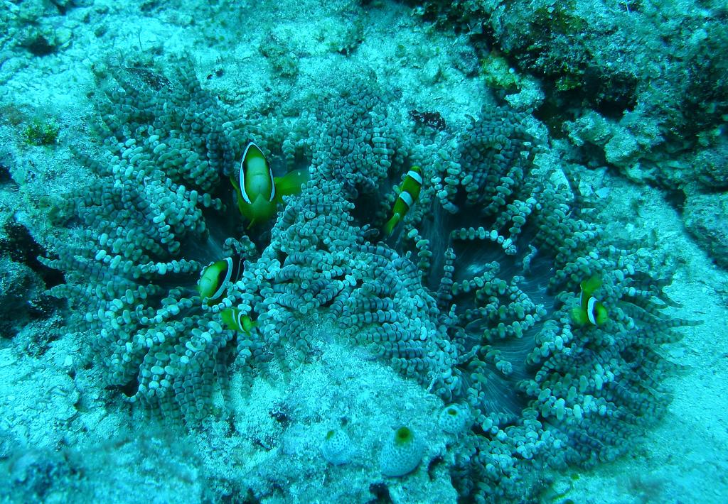 lugares que fotografiar antes de que desaparezcan