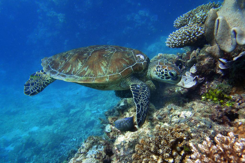 lugares que fotografiar antes de que desaparezcan