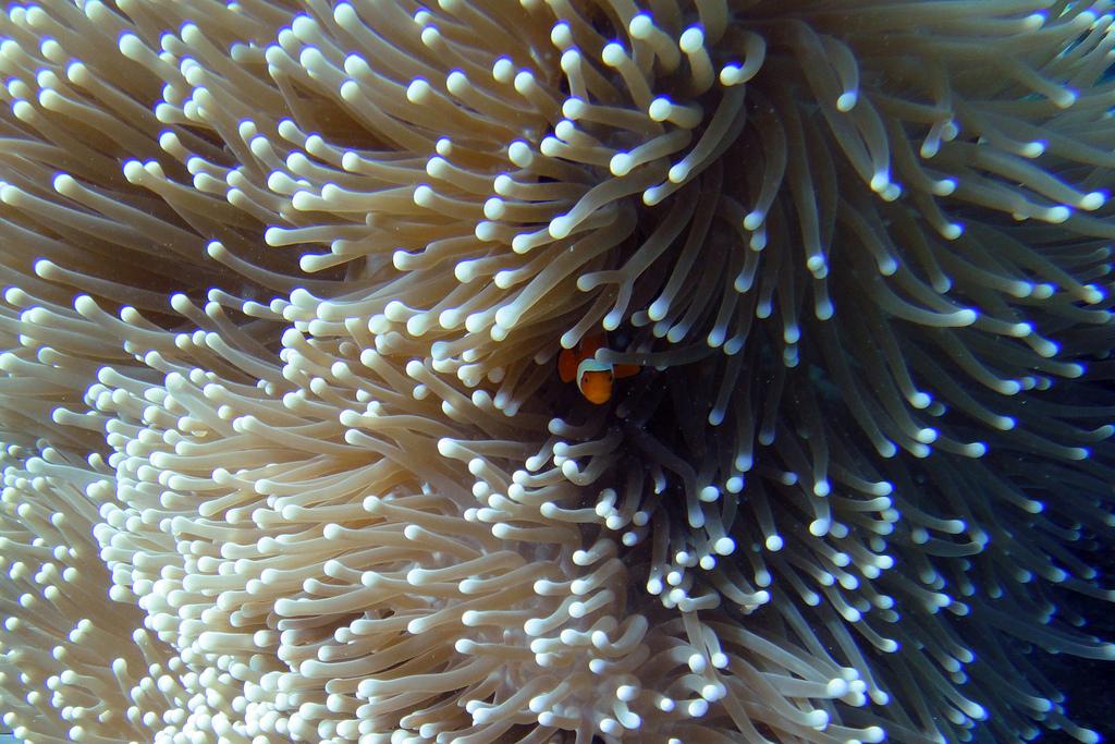 lugares que fotografiar antes de que desaparezcan