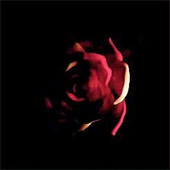 ¡Primer trailer de Vampire Academy: Blood Sisters!