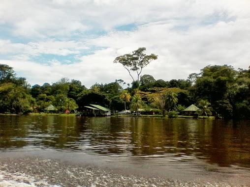 Llegada a Tortuguero… Empieza la Pura Vida!