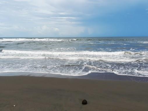 Llegada a Tortuguero… Empieza la Pura Vida!
