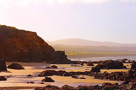 Las mejores Postales desde Pigeon Point