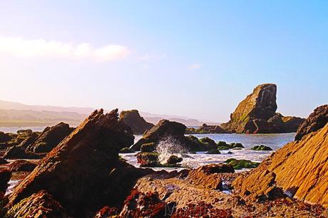 Las mejores Postales desde Pigeon Point