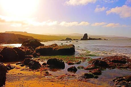 Las mejores Postales desde Pigeon Point