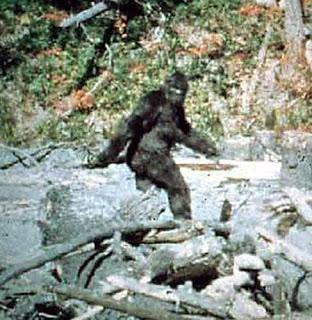 PUBLICAN UN ESTUDIO QUE AFIRMA LA EXISTENCIA DEL YETI