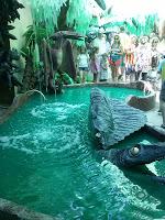 FIESTAS DE GRACIA 2013