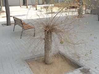 ESPIRITU DE SUPERVIVENCIA (PARTE 2)