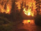 pequeño homanaje bomberos forestales