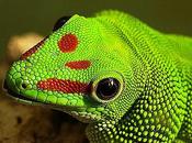 Friday Pic: Madagascar