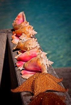 Imágenes de la semana