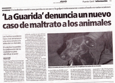 KEKA, SU PLENA FELICIDAD DESPUÉS DE SER CRUELMENTE MALTRATADA.