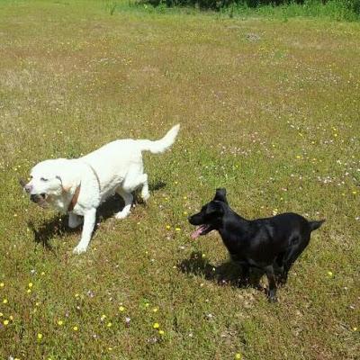 KEKA, SU PLENA FELICIDAD DESPUÉS DE SER CRUELMENTE MALTRATADA.