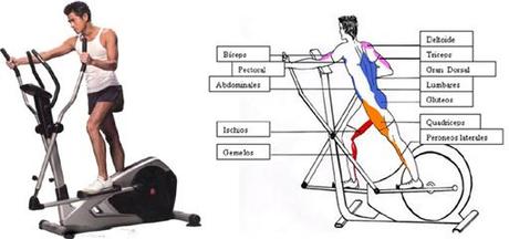 Ponte en forma con la elíptica!