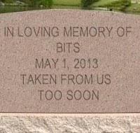 A vueltas con los bits de nuevo