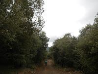 De Prades a Vilanova de Prades por Coll de Cabrers