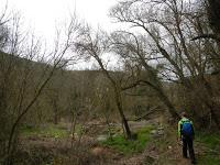 De Prades a Vilanova de Prades por Coll de Cabrers