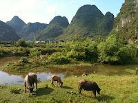 Viajar a China. Qué visitar en Yangshuo