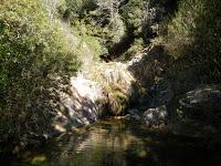 Río y cascada de Les Tosques. La Mussara