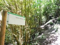 Estanys de Gémena. Vall de Boí