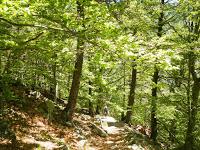 Estanys de Gémena. Vall de Boí