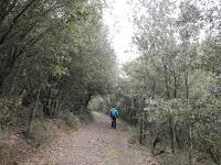 De Vilanova de Prades a Prades por el Coll de Rossinyols