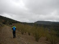 De Vilanova de Prades a Prades por el Coll de Rossinyols