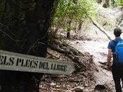 Torrent Migdia. Montserrat