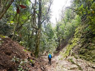 Torrent del Migdia. Montserrat