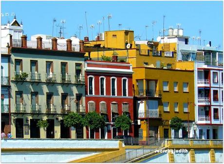 CONTINUE WITH A LOOK OF SEVILLE CONTINUE WITH A LOOK OF SEVILLE