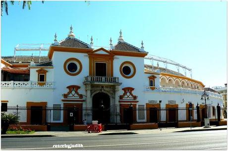 CONTINUE WITH A LOOK OF SEVILLE CONTINUE WITH A LOOK OF SEVILLE