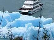 Glaciares Lago Argentino, Calafate