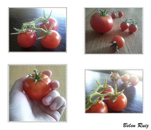 tomates cherry y raf