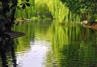 Vaciar una mente sobreestimulada Vaciar una mente sobreestimulada