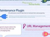 mejores plugins para WordPress #Infografía #Internet #WordPress