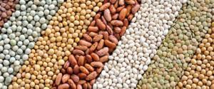 Hacia un equilibrio en la alimentación. legumbres