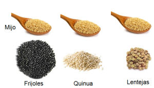 Hacia un equilibrio en la alimentación. combinaciones proteicas 2