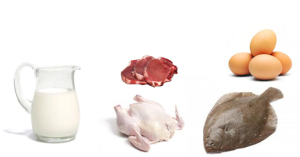 Hacia un equilibrio en la alimentación. alimentos ricos en proteinas