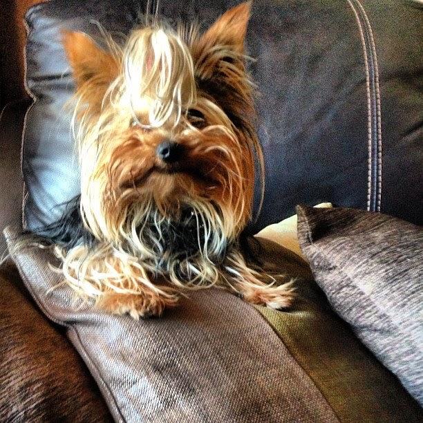 Recap Of The Week XLIX