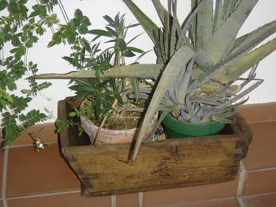 Recuperación de una medida antigua de madera ...