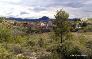 El monte y la viña. La Zorrera.