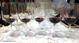 Los vinos en sus copas 18-07-2013 22-08-49
