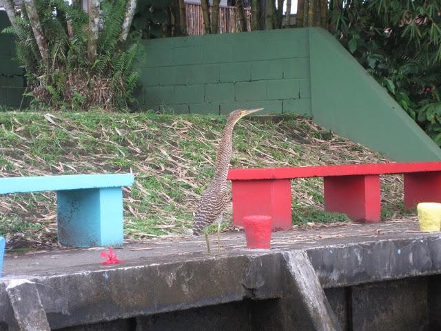 LOOK232-16.8.19638:15Buenos días, amiga!!Empezamos el día...
